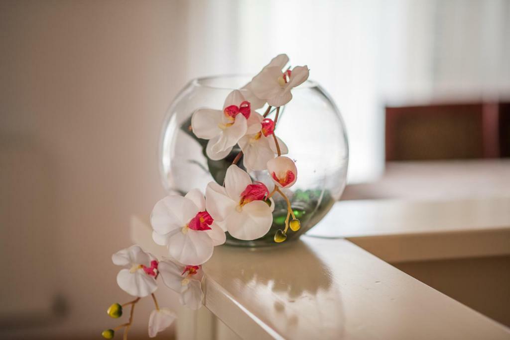 Beljan Apartments Krk Town Dış mekan fotoğraf